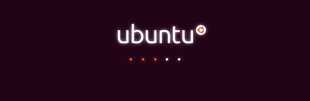 Ubuntu 10.04