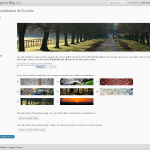 Personalisation du thème WordPress 3.0